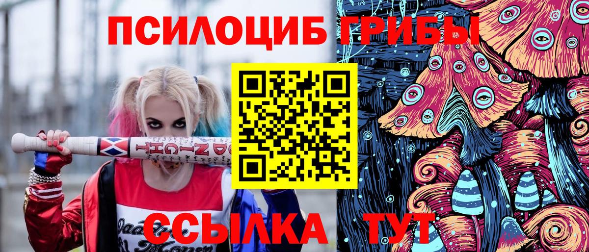 Псилоцибиновые грибы мухоморы  Вход с VPN  Гатчина 